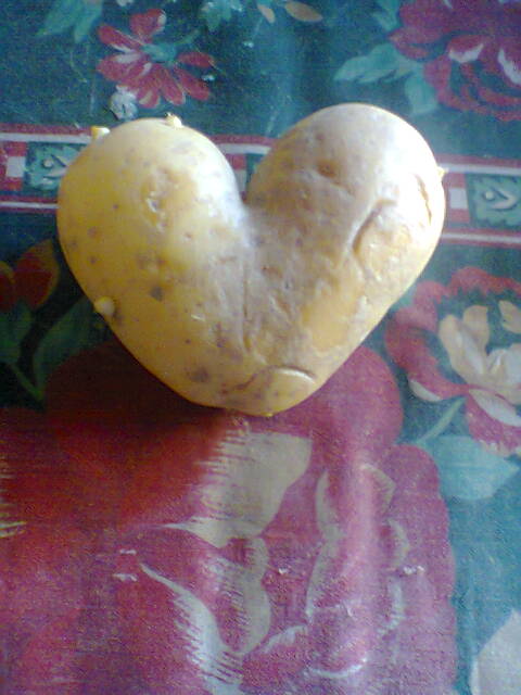 HEARTS FROM THE ANGELS